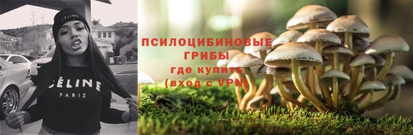 дурь Аркадак