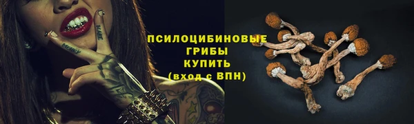 дурь Аркадак
